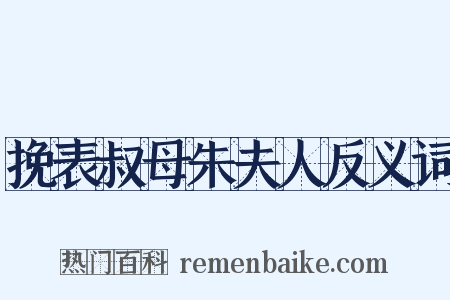 挽表叔母朱夫人反义词是什么意思的图片